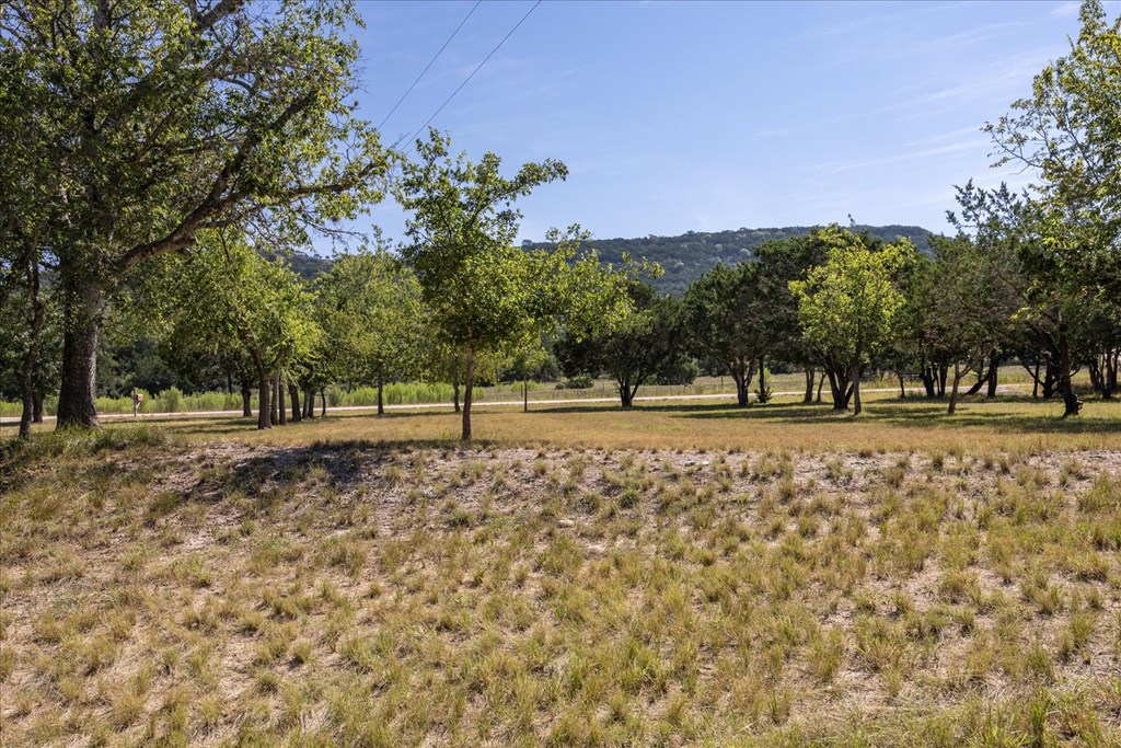363 Elm Pass 2 Center Point, TX 78010 - Photo 58 of 60 a view of outdoor space with trees