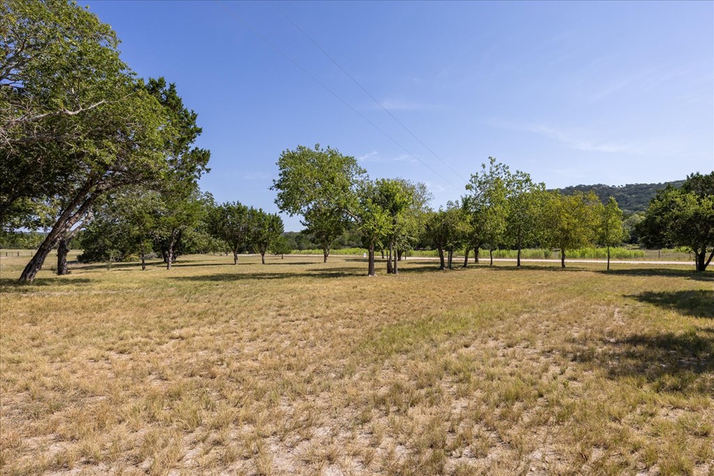 363 Elm Pass 2 Center Point, TX 78010 - Photo 59 of 60 a view of outdoor space with trees