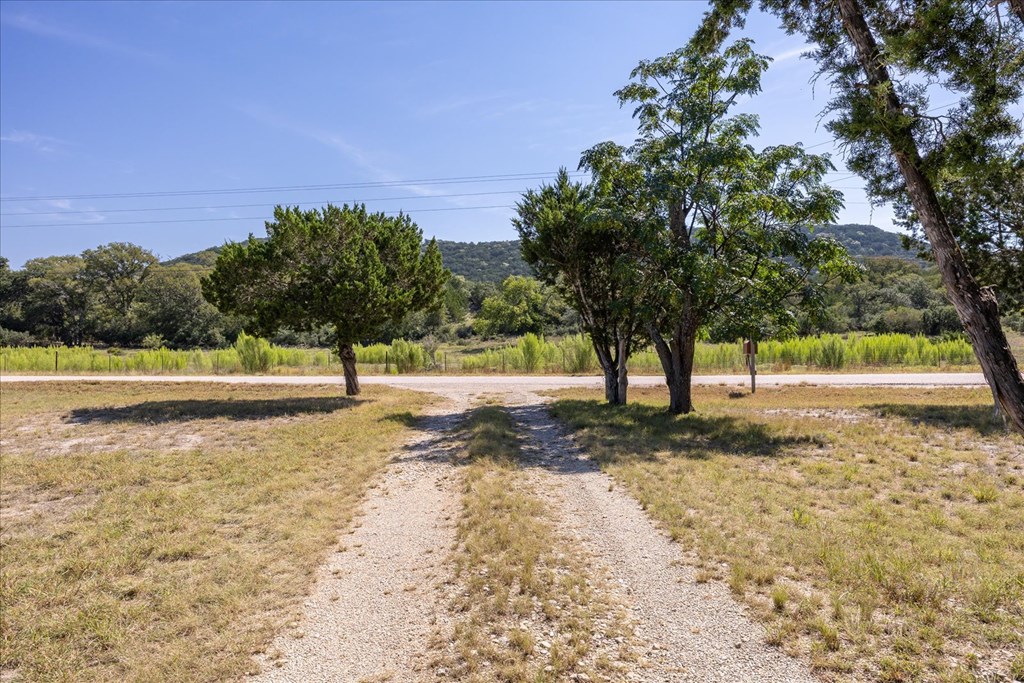 363 Elm Pass 2 Center Point, TX 78010 - Photo 60 of 60 a view of a yard with trees