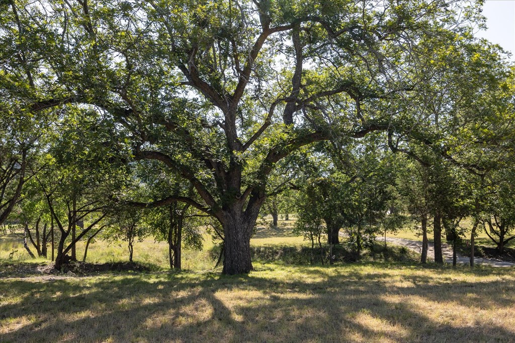 363 Elm Pass 2 Center Point, TX 78010 - Photo 7 of 60