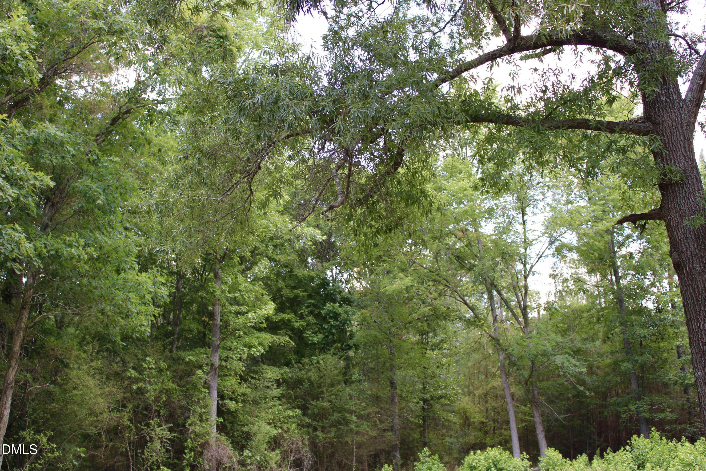 1920 Alston Chapel Road Pittsboro, NC 27312 - Photo 9 of 11