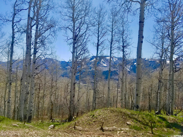 194 Canyon Rim Road, Unit 194 Coalville, UT 84017 - Photo 1 of 1 Gallery Image 1