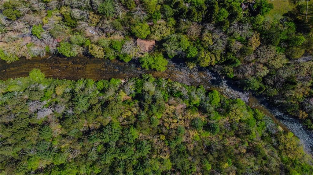 80 Riverbend Circle Ellijay, GA 30536 - Photo 11 of 32 a view of a forest with a tree