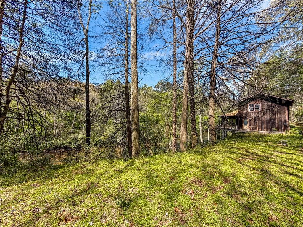 80 Riverbend Circle Ellijay, GA 30536 - Photo 22 of 32 a view of back yard of the house