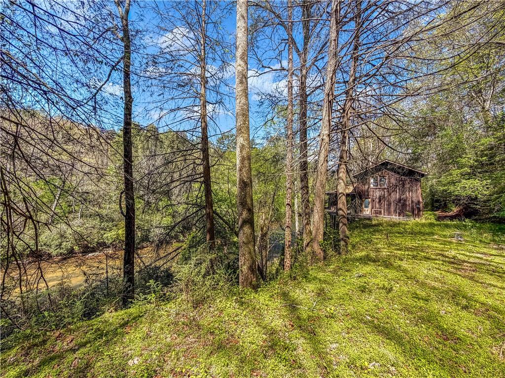 80 Riverbend Circle Ellijay, GA 30536 - Photo 23 of 32 a backyard of a building with large trees
