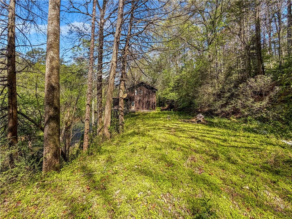 80 Riverbend Circle Ellijay, GA 30536 - Photo 24 of 32 a view of a yard with trees