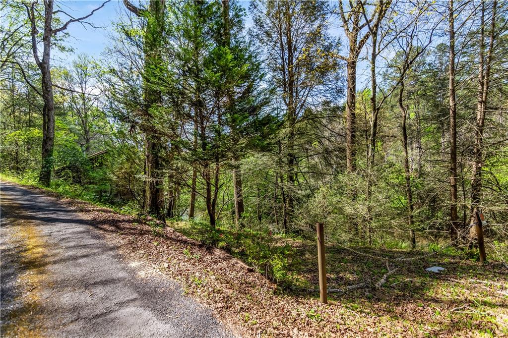 80 Riverbend Circle Ellijay, GA 30536 - Photo 25 of 32 a backyard of a house with lots of plants and large trees