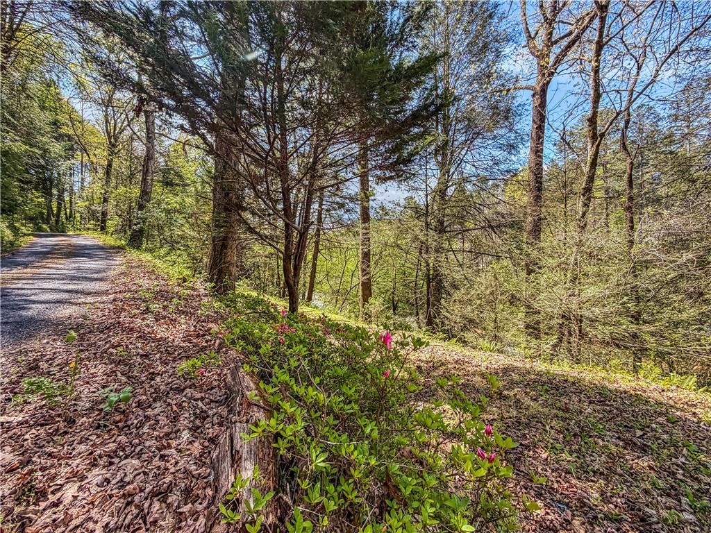 80 Riverbend Circle Ellijay, GA 30536 - Photo 27 of 32 a view of a yard with plants and trees