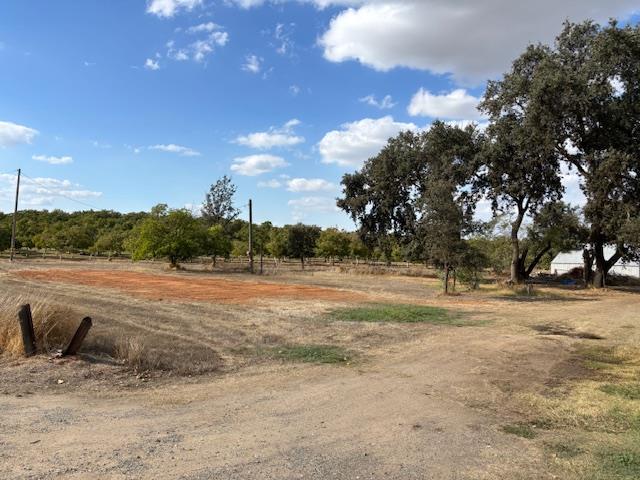 3760 Gallagher Road Rio Oso, CA 95674 - Photo 3 of 8 a view of a yard with a tree