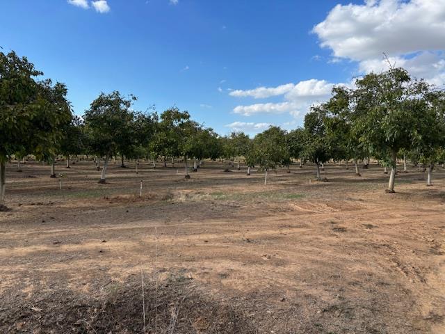 3760 Gallagher Road Rio Oso, CA 95674 - Photo 4 of 8 a view of a yard