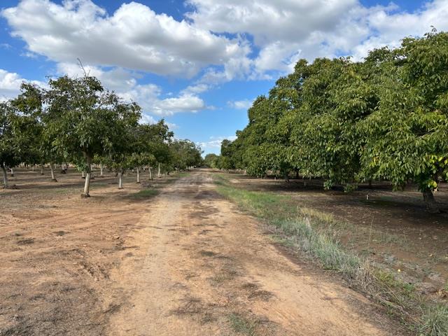 3760 Gallagher Road Rio Oso, CA 95674 - Photo 5 of 8 a view of backyard with green space
