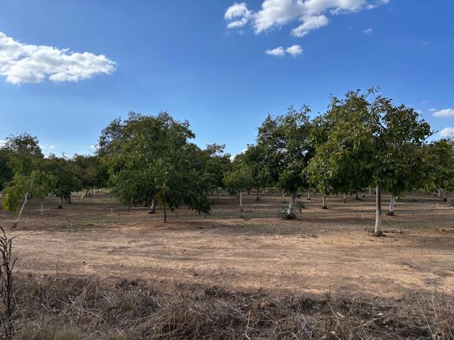 3760 Gallagher Road Rio Oso, CA 95674 - Photo 7 of 8 a view of outdoor space with kitchen view