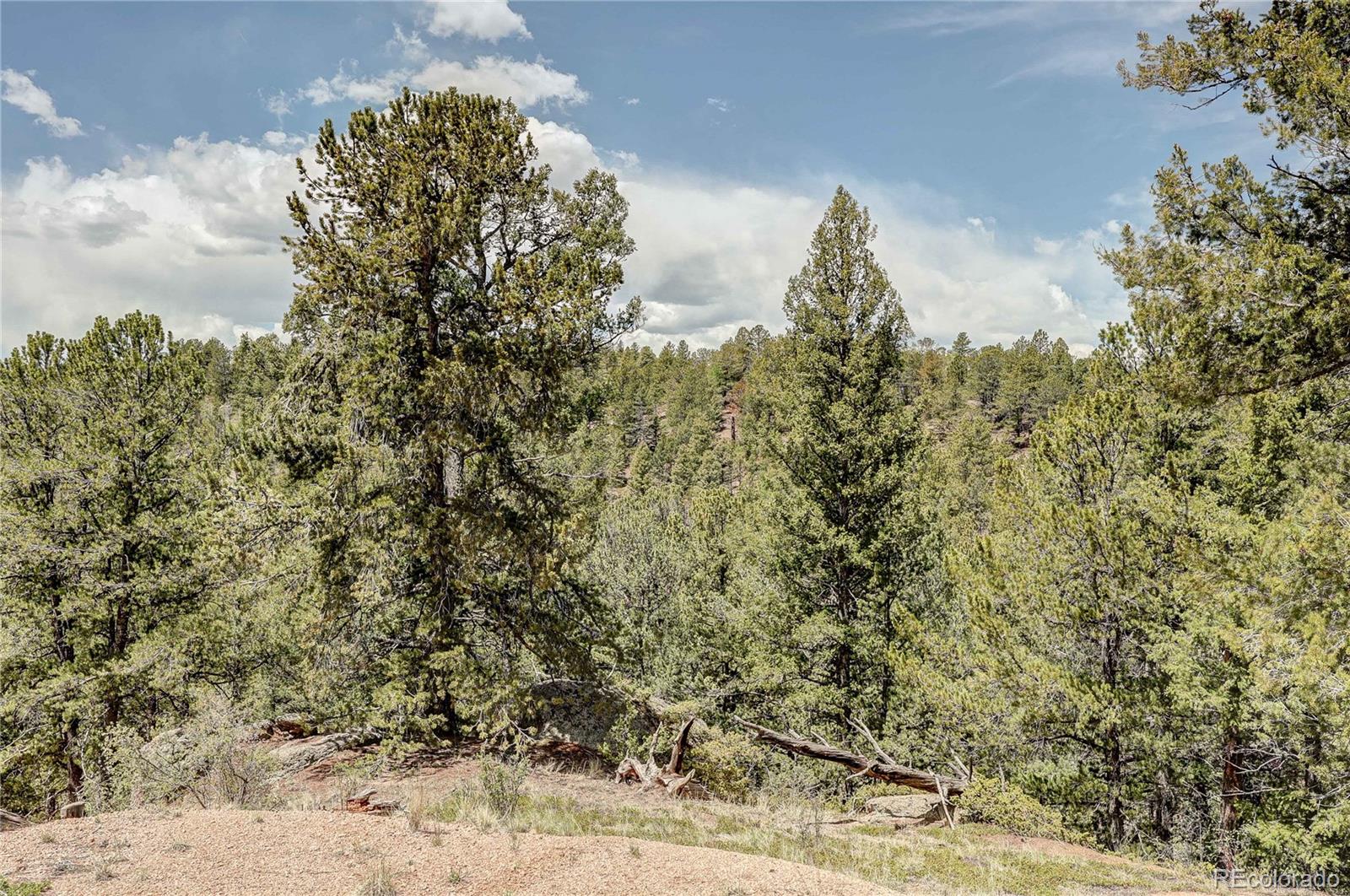 59 Robin Point Divide, CO 80814 - Photo 25 of 30 a view of a yard