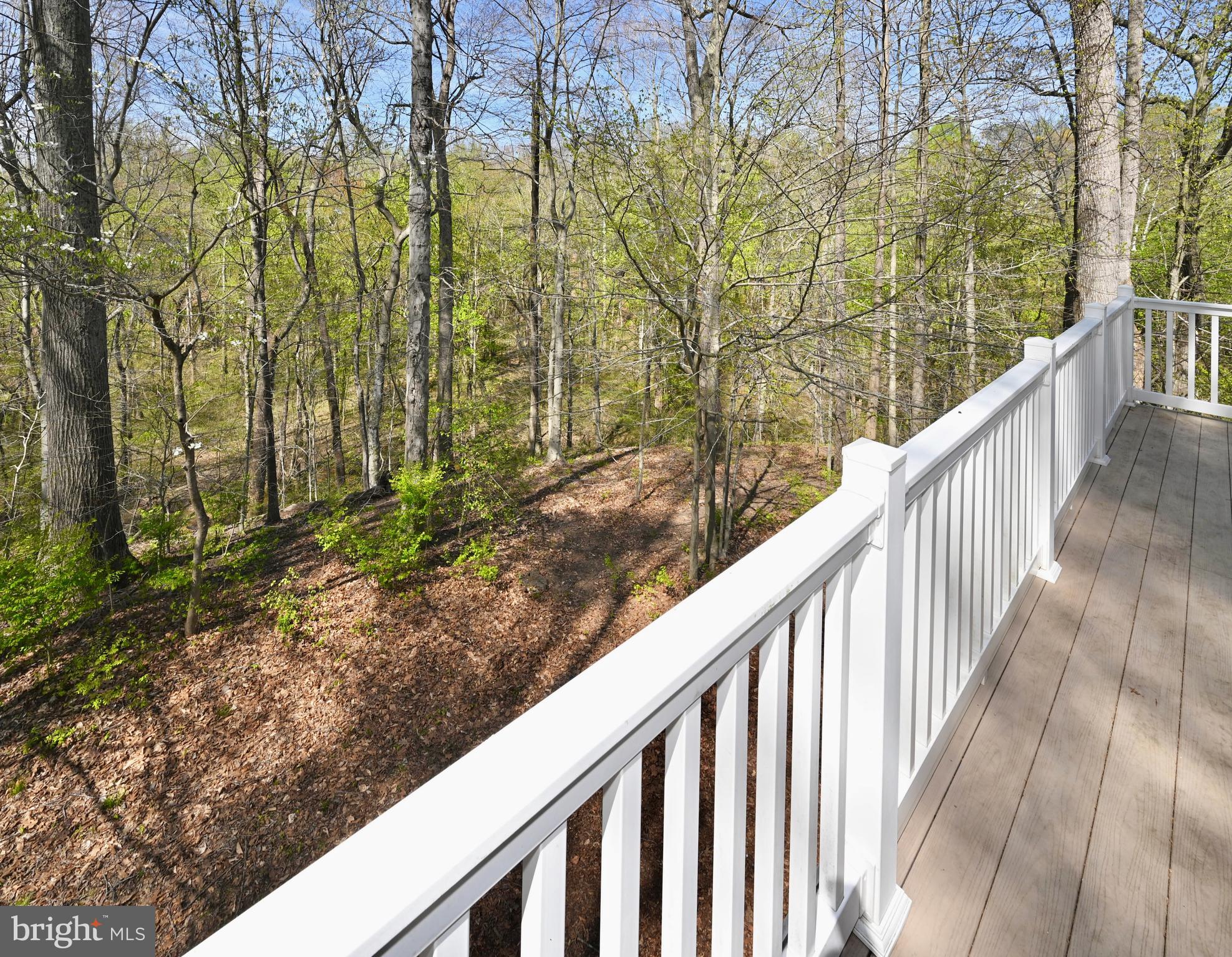 651 Walton Road Huntingtown, MD 20639 - Photo 45 of 58 View from upper-level patio