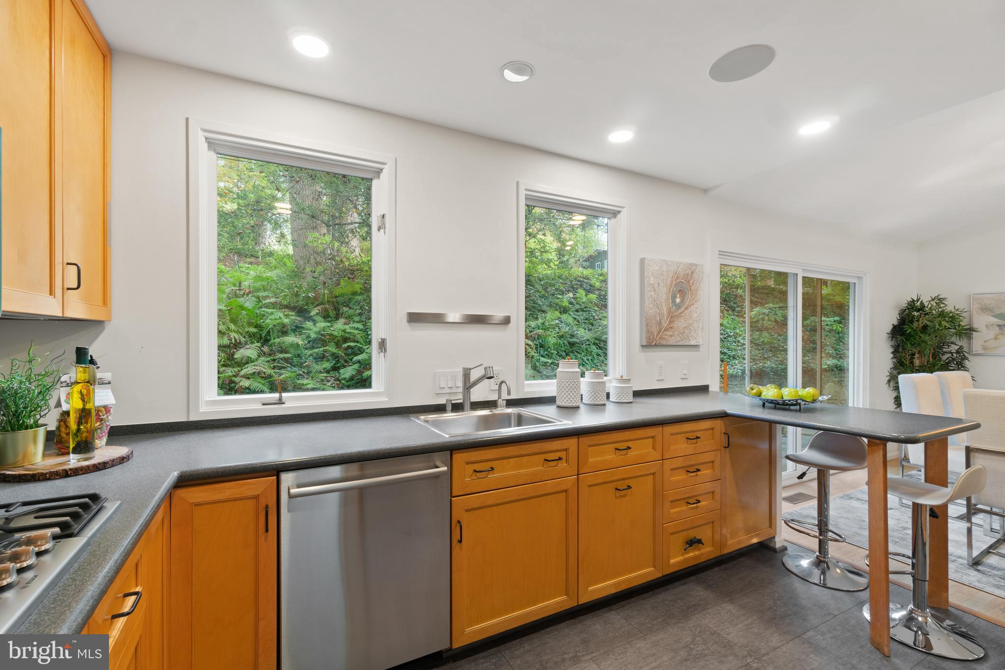 5309 Mohican Road Bethesda, MD 20816 - Photo 23 of 58 Gallery Image 23