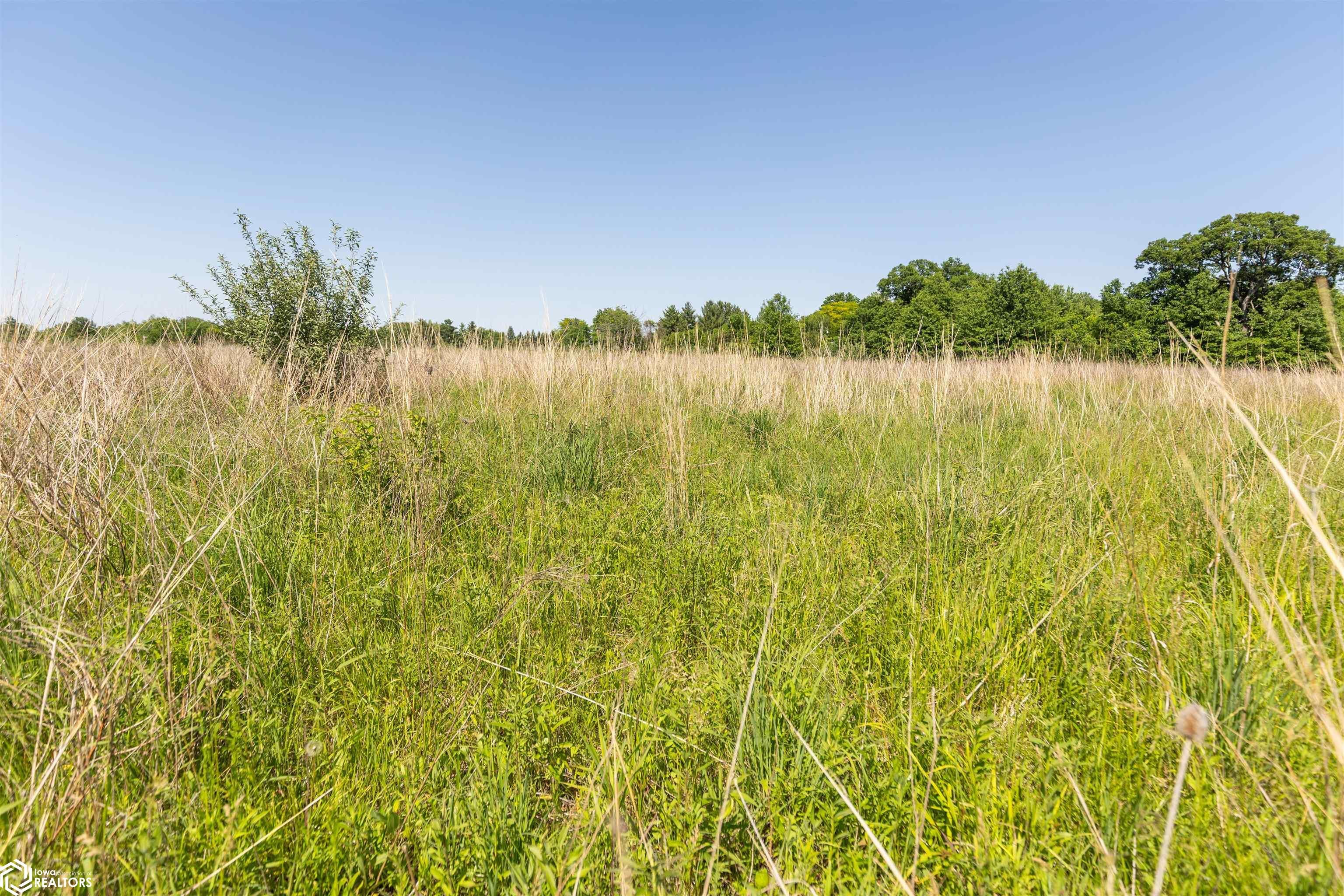 Tbd Washington Road West Burlington, IA 52655 - Photo 37 of 37 Gallery Image 37