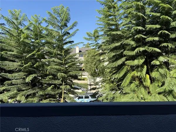 a view of a garden from a window