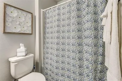 a white toilet sitting next to a shower curtain
