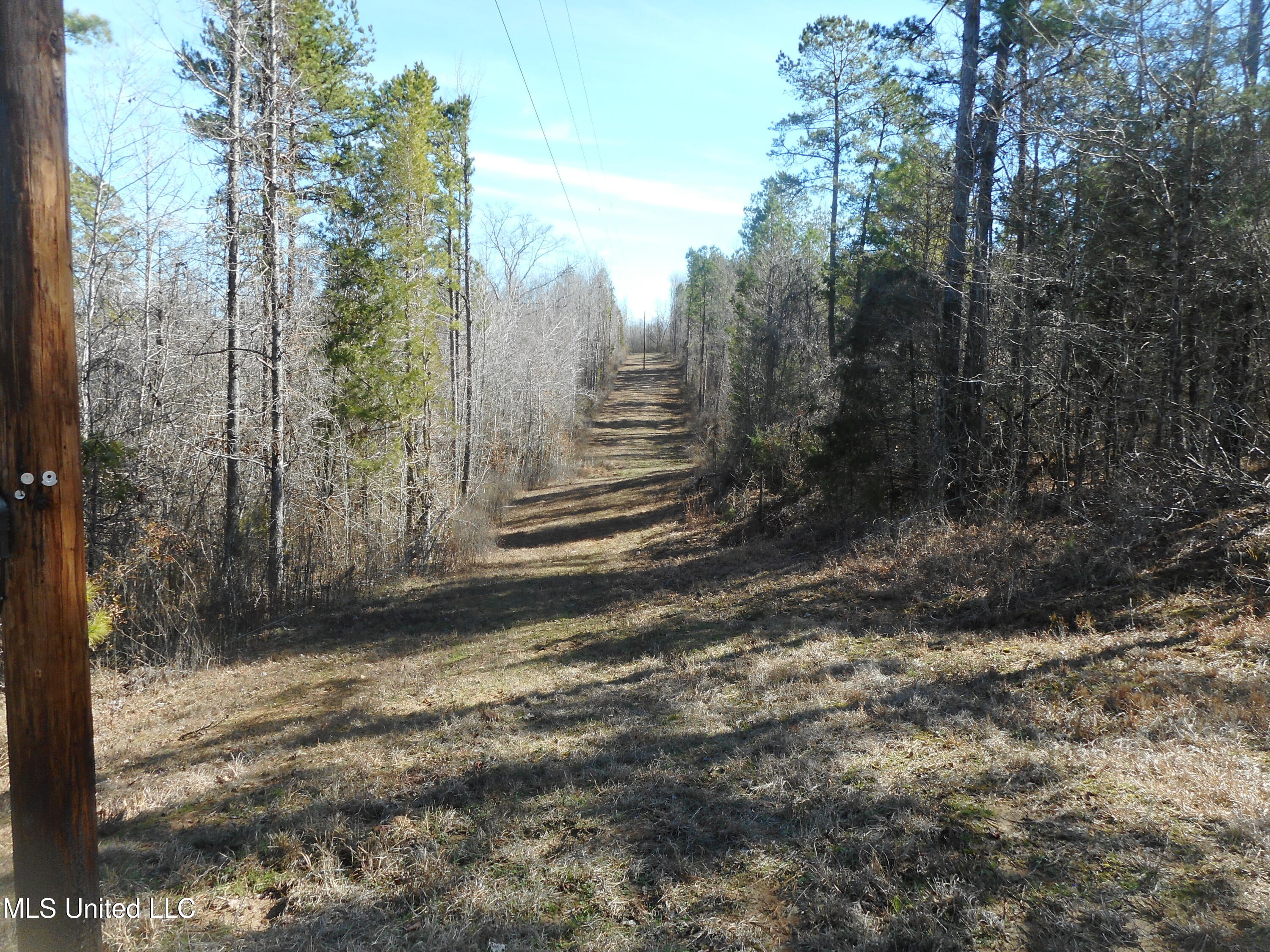 1196 Ellis Road West, MS 39192 - Photo 23 of 81 DSCN1466 - Copy