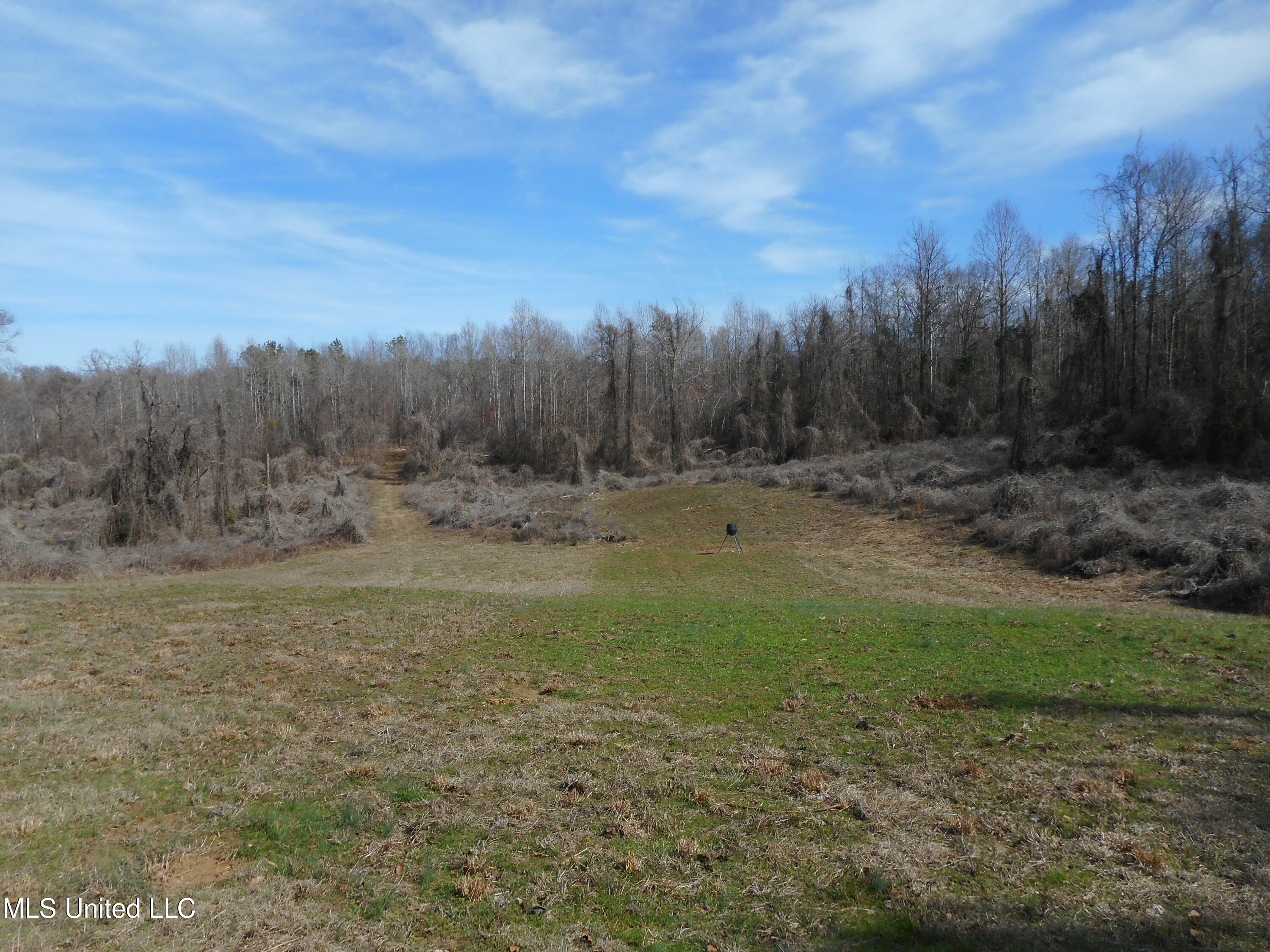 1196 Ellis Road West, MS 39192 - Photo 55 of 81 DSCN1532