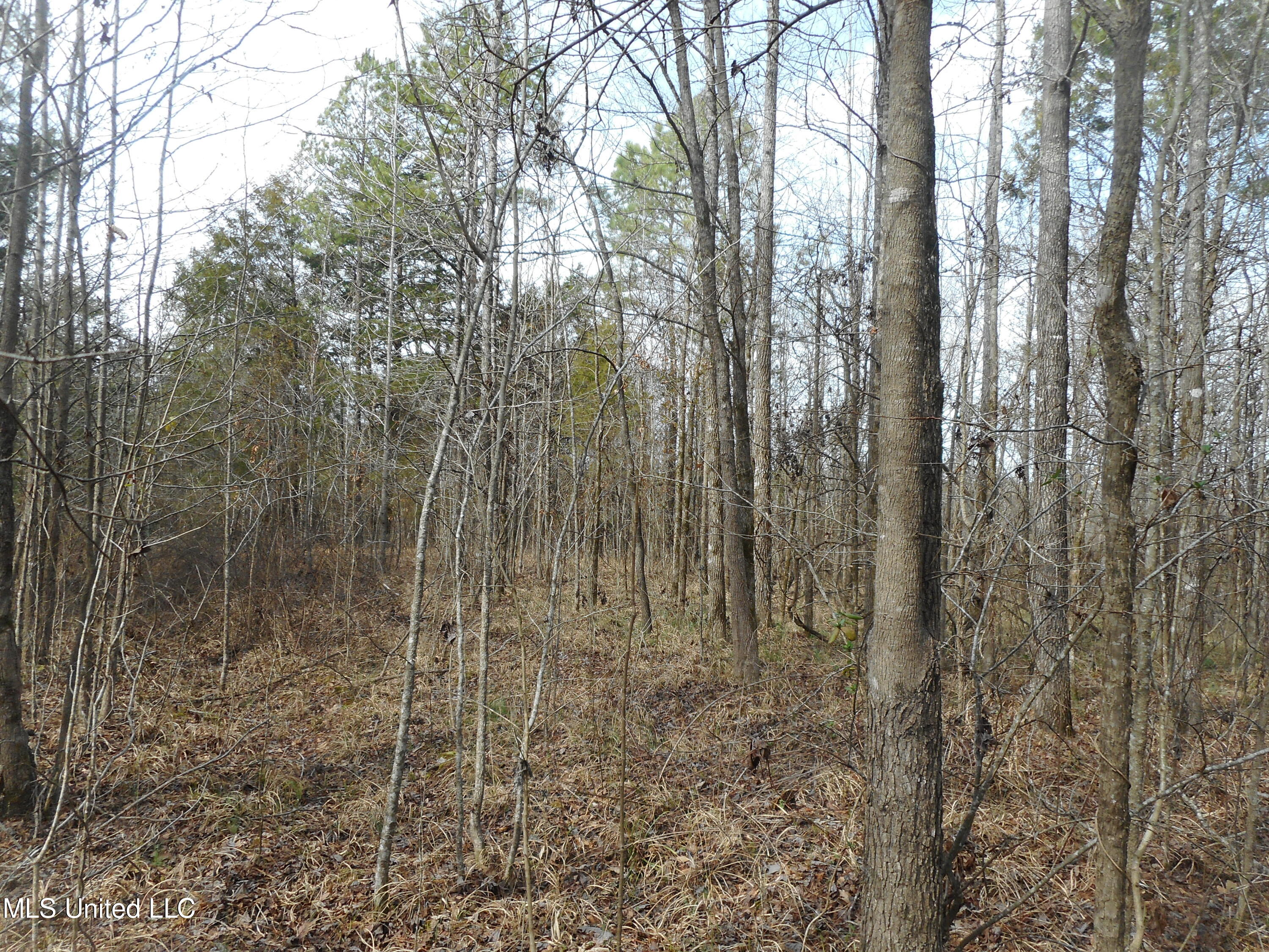 1196 Ellis Road West, MS 39192 - Photo 58 of 81 DSCN1538