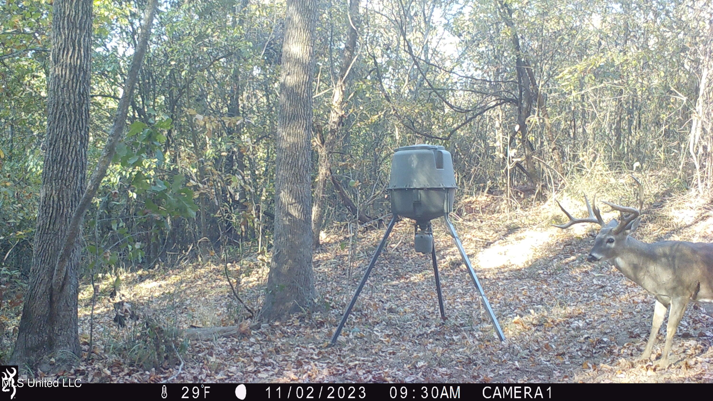 1196 Ellis Road West, MS 39192 - Photo 72 of 81 IMG_1711