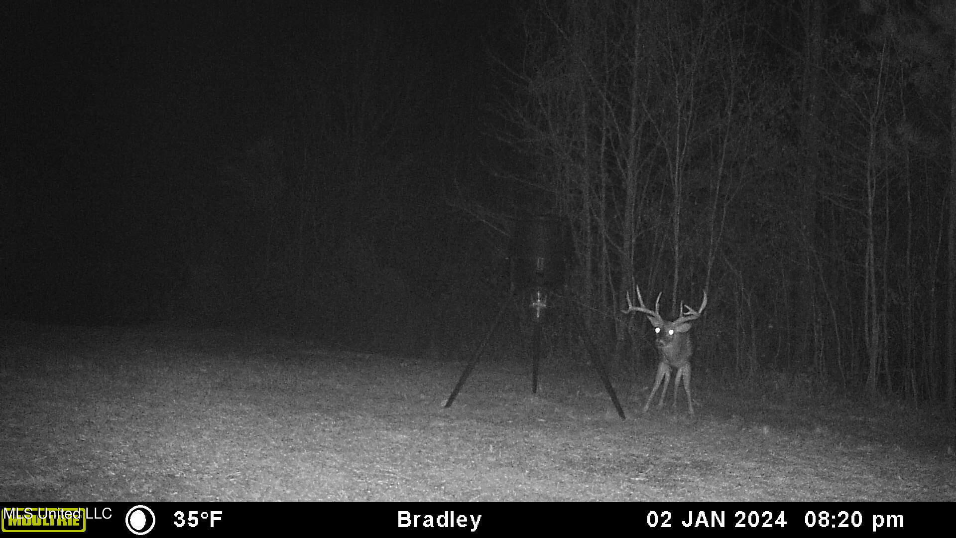 1196 Ellis Road West, MS 39192 - Photo 78 of 81 MFDC1517