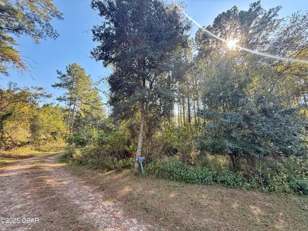 $116,000 | 0 Lure Lane, Sneads, FL 32460