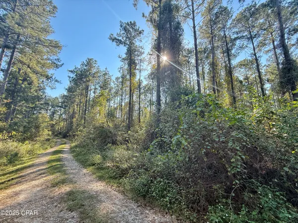 $116,000 | 0 Lure Lane, Sneads, FL 32460