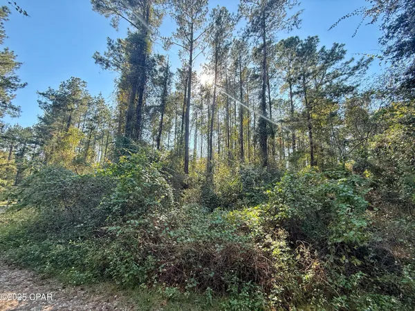 $116,000 | 0 Lure Lane, Sneads, FL 32460