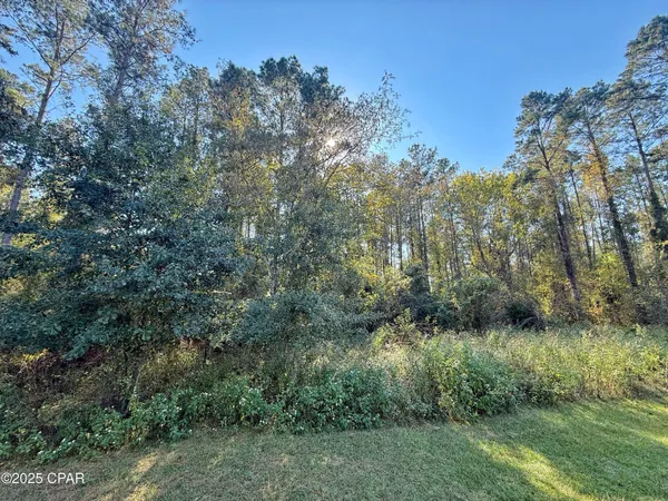 $116,000 | 0 Lure Lane, Sneads, FL 32460