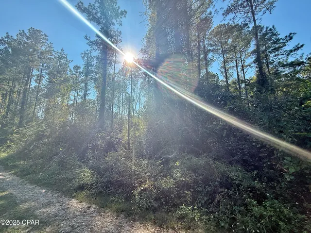 $116,000 | 0 Lure Lane, Sneads, FL 32460