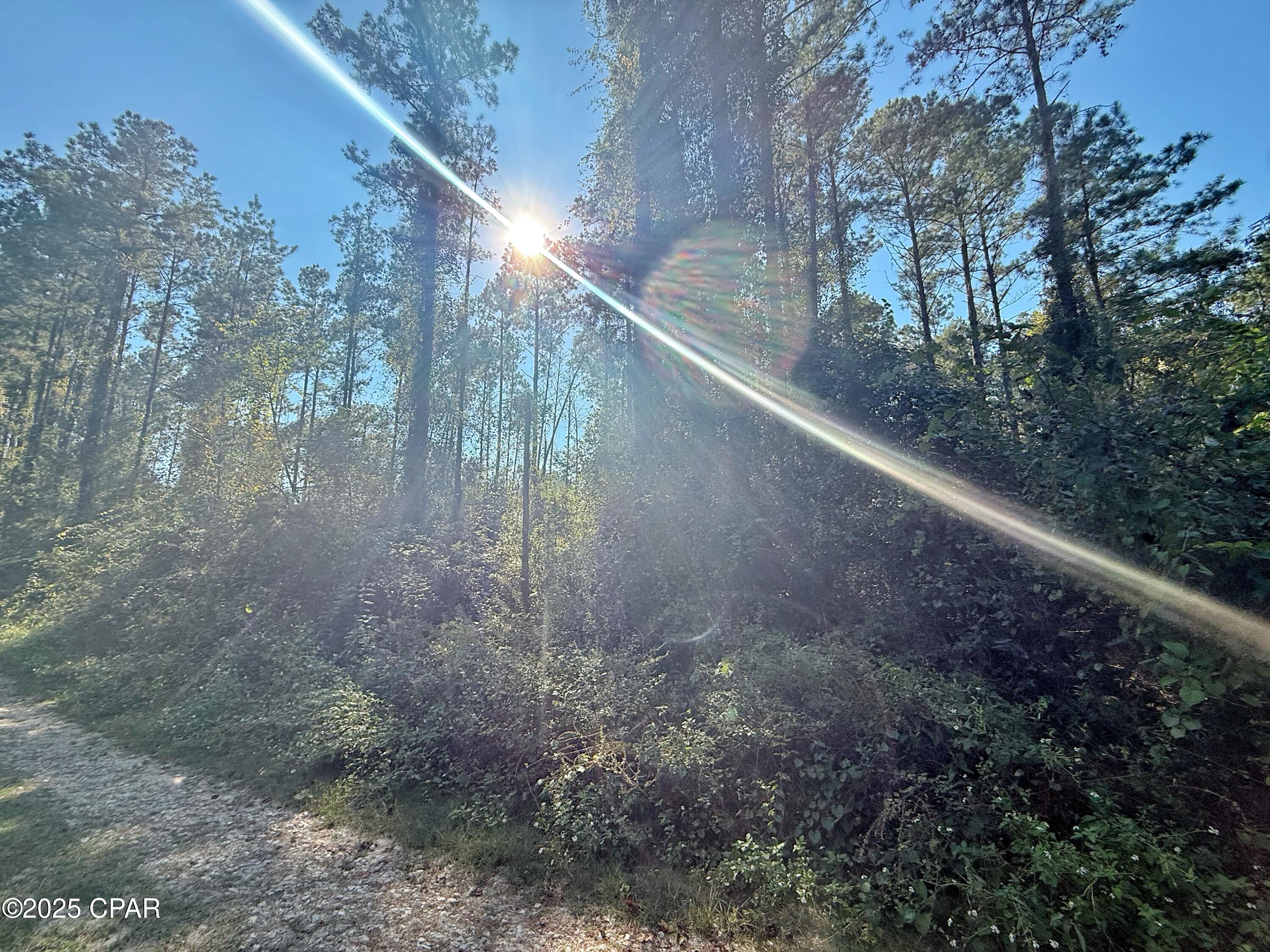 0 Lure Lane Sneads, FL 32460 - Photo 5 of 7