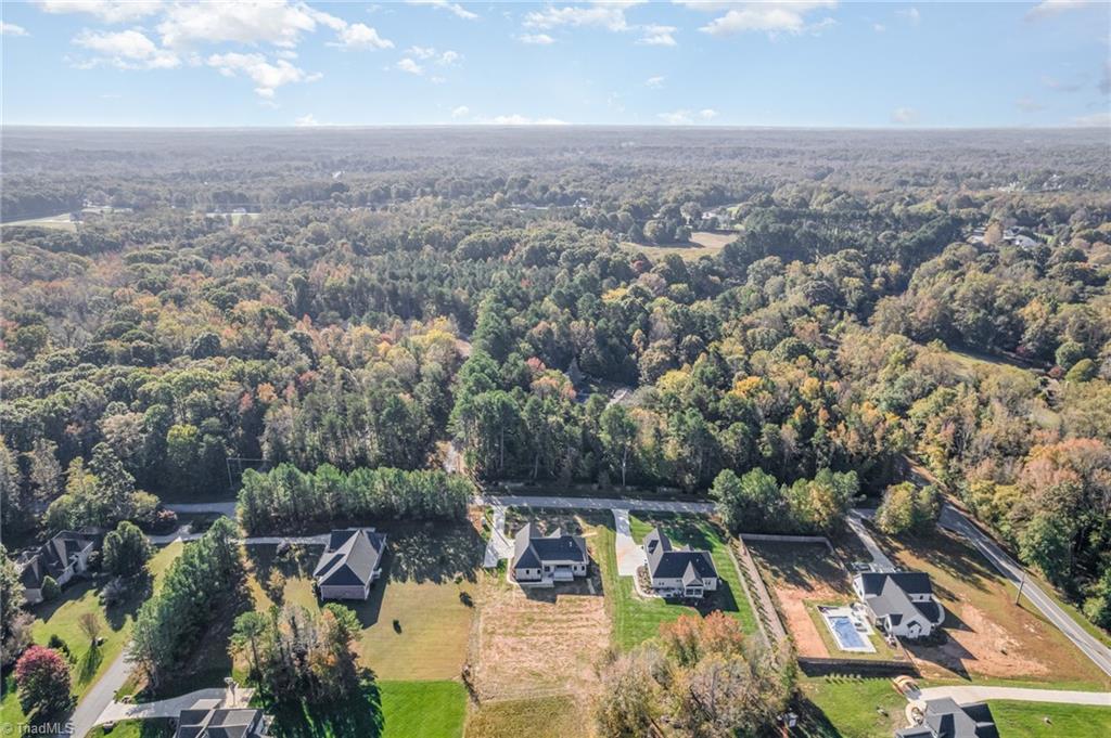 7107 Lanier Road Summerfield, NC 27358 - Photo 43 of 45