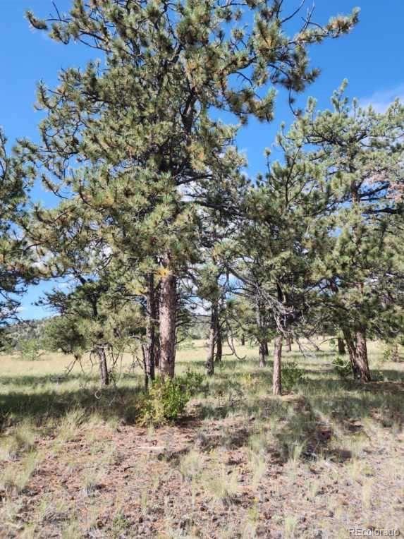 617 Boulder Road Hartsel, CO 80449 - Photo 3 of 7