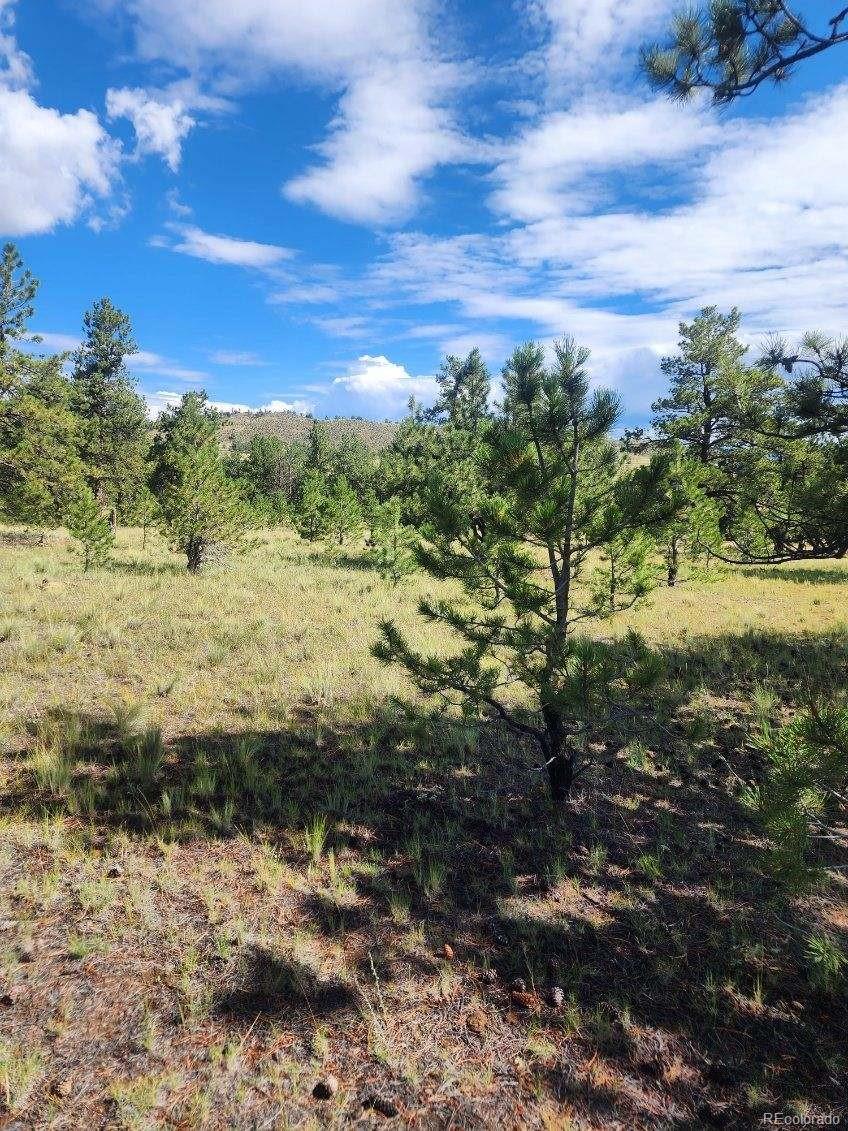 617 Boulder Road Hartsel, CO 80449 - Photo 4 of 7