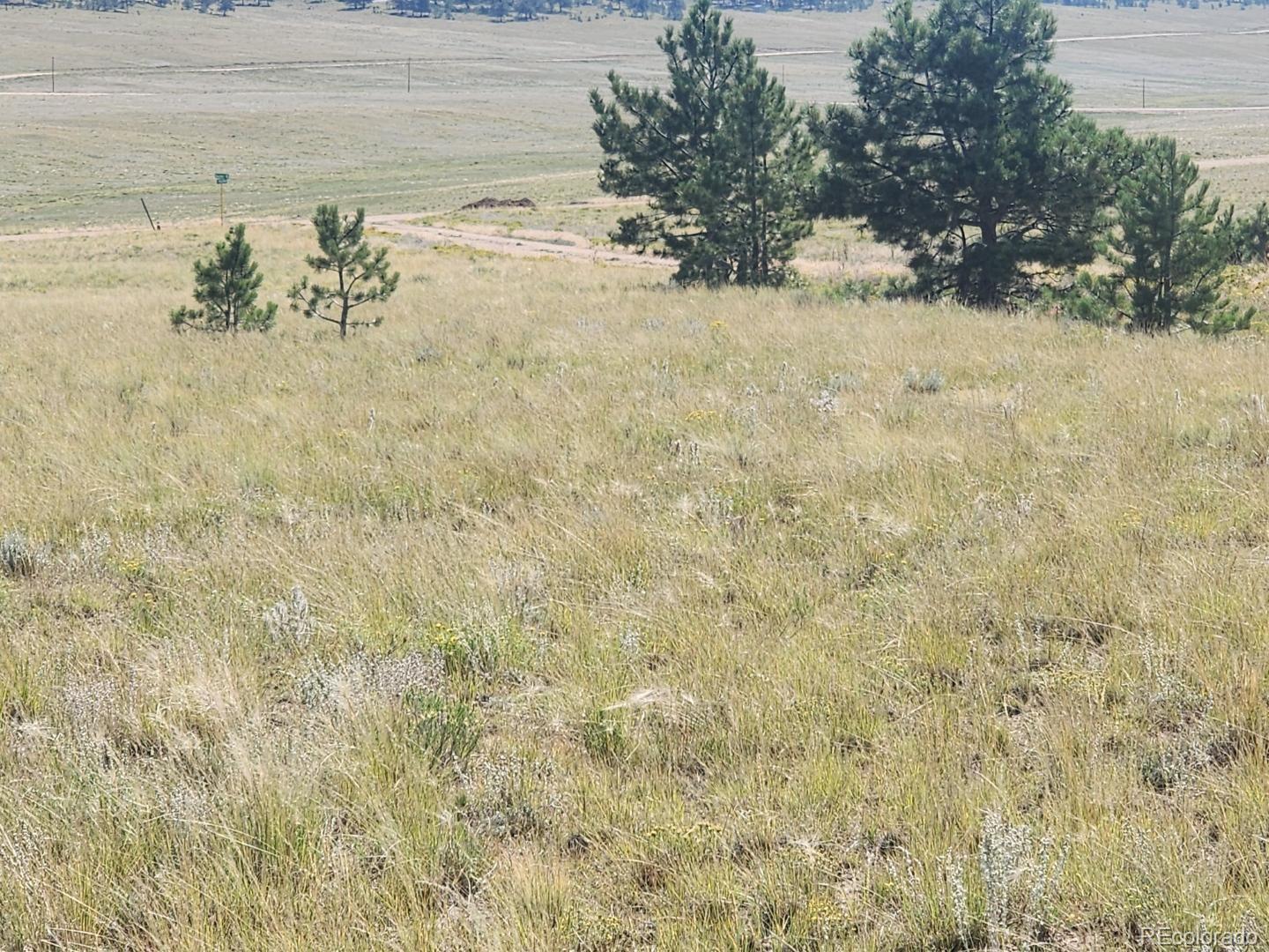 617 Boulder Road Hartsel, CO 80449 - Photo 6 of 7