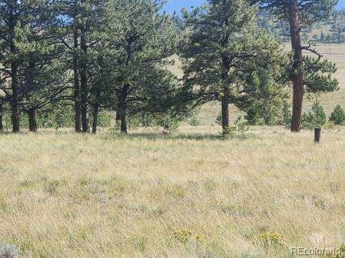 617 Boulder Road Hartsel, CO 80449 - Photo 7 of 7