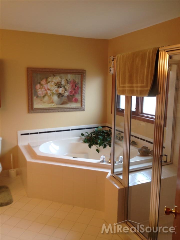 63863 Inverness Washington, MI 48095 - Photo 10 of 16 Master Bath