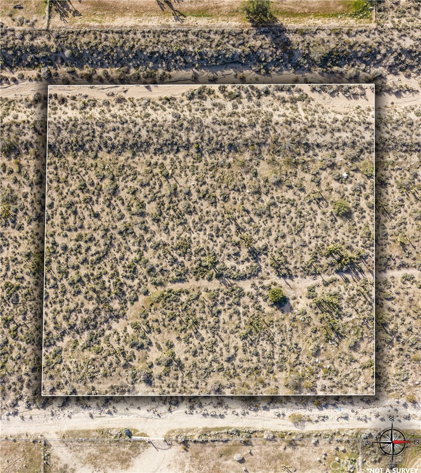 11073 Primavera Road Pinon Hills, CA 92372 - Photo 1 of 1 a view of a yard