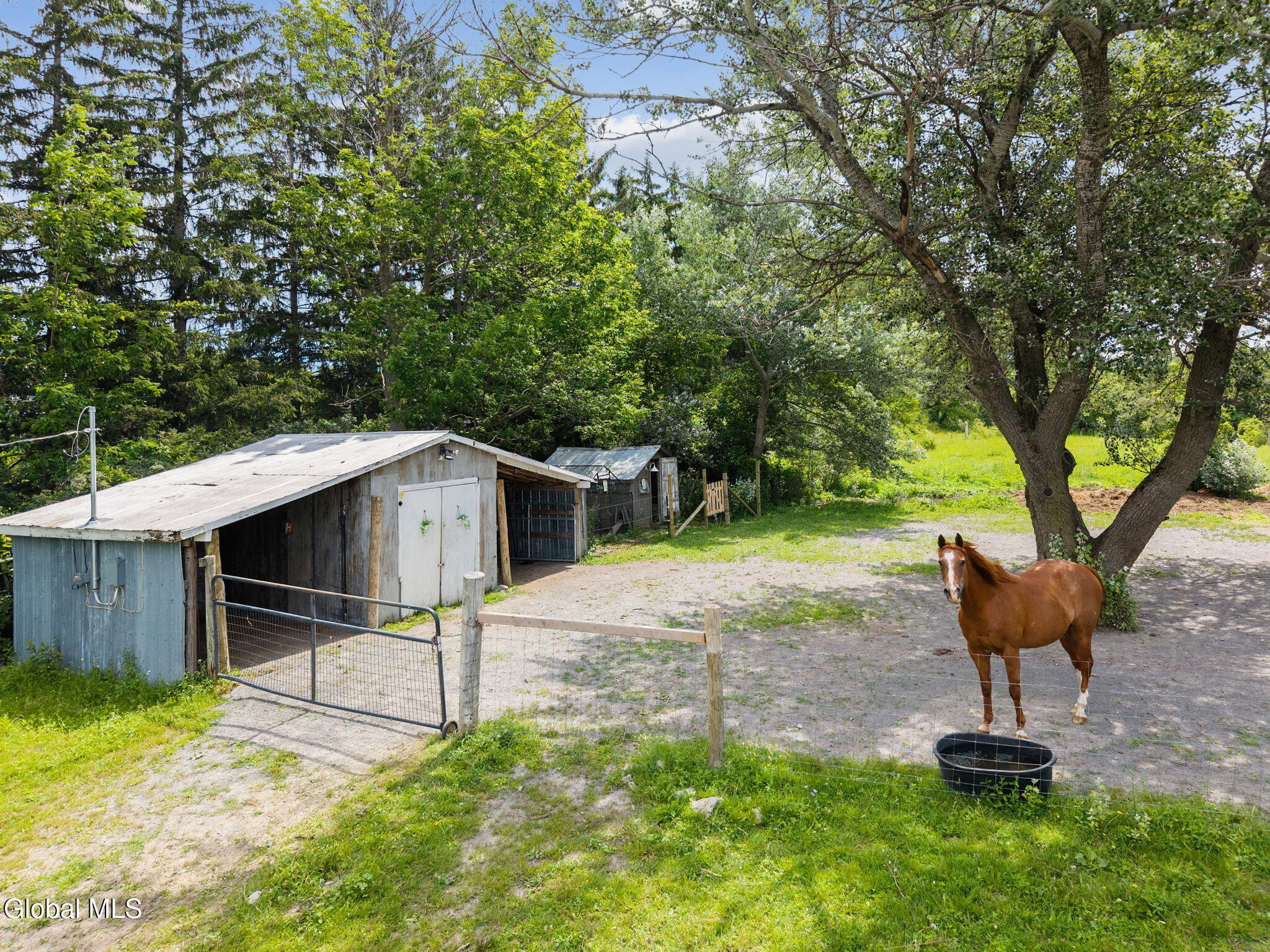 240 Egelston Road Fultonville, NY 12072 - Photo 38 of 60 43-240EglestonRd_43