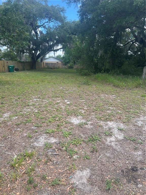 East Jackson Avenue Mount Dora, FL 32757 - Photo 1 of 2 a view of a green yard