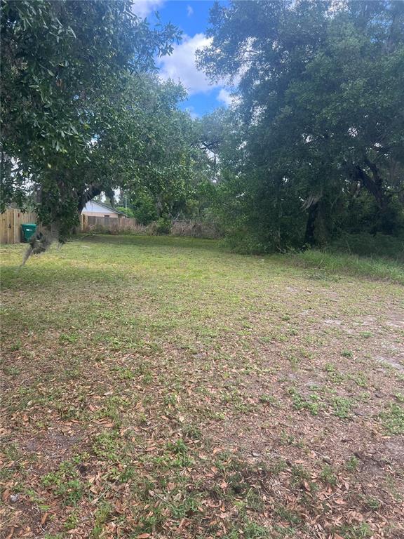 East Jackson Avenue Mount Dora, FL 32757 - Photo 2 of 2 a backyard of a house with lots of green space