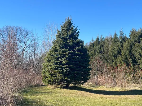$345,000 | 69312 Teter Trail, Cassopolis, MI 49031