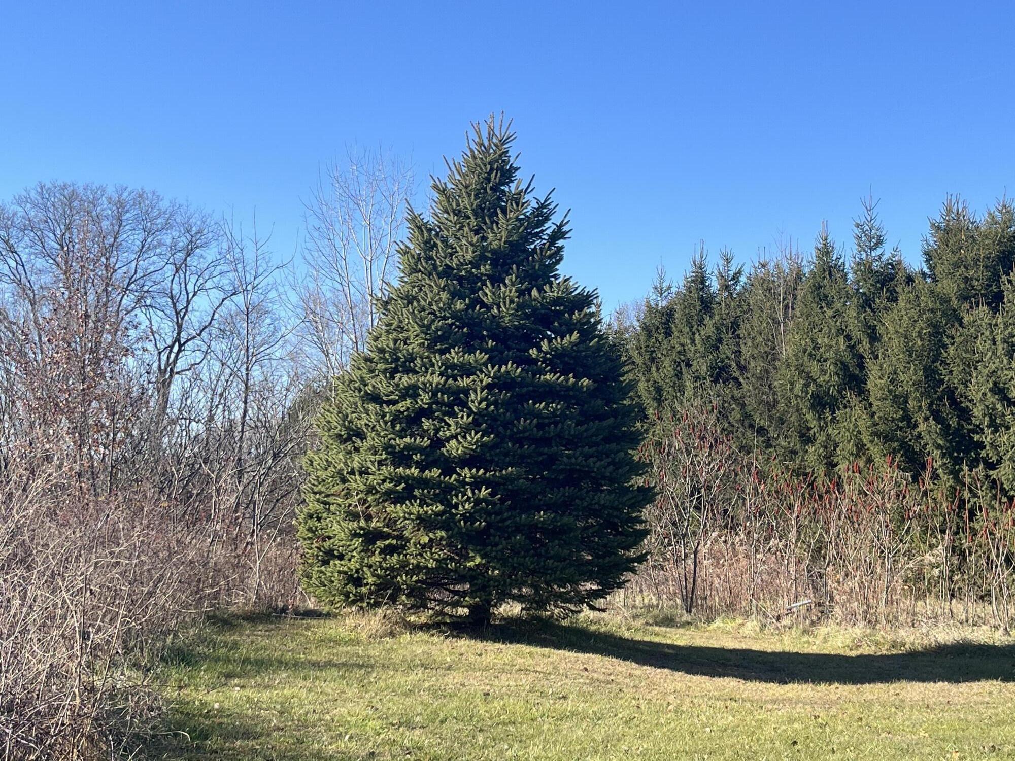 69312 Teter Trail Cassopolis, MI 49031 - Photo 24 of 27 IMG_7416
