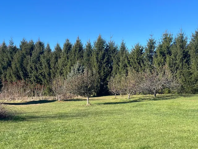 $345,000 | 69312 Teter Trail, Cassopolis, MI 49031