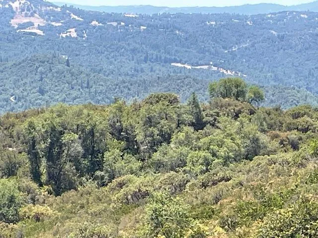 a view of a dry field