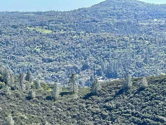 a view of a mountain range with trees in the background