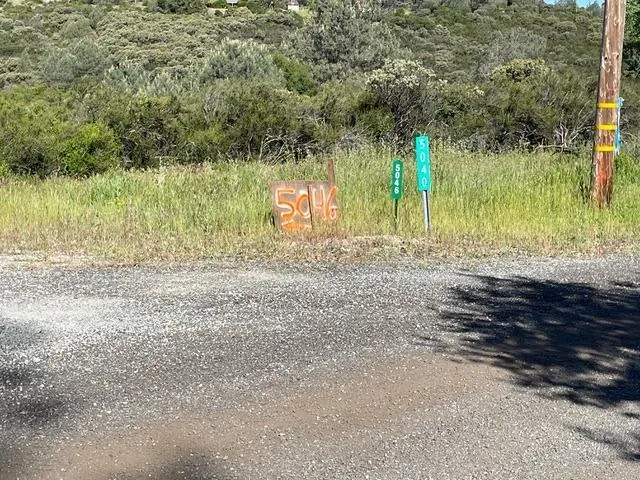 a view of a dirt road with trees in the background