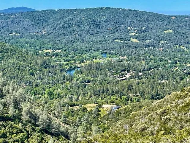 a view of a lush green hillside and houses